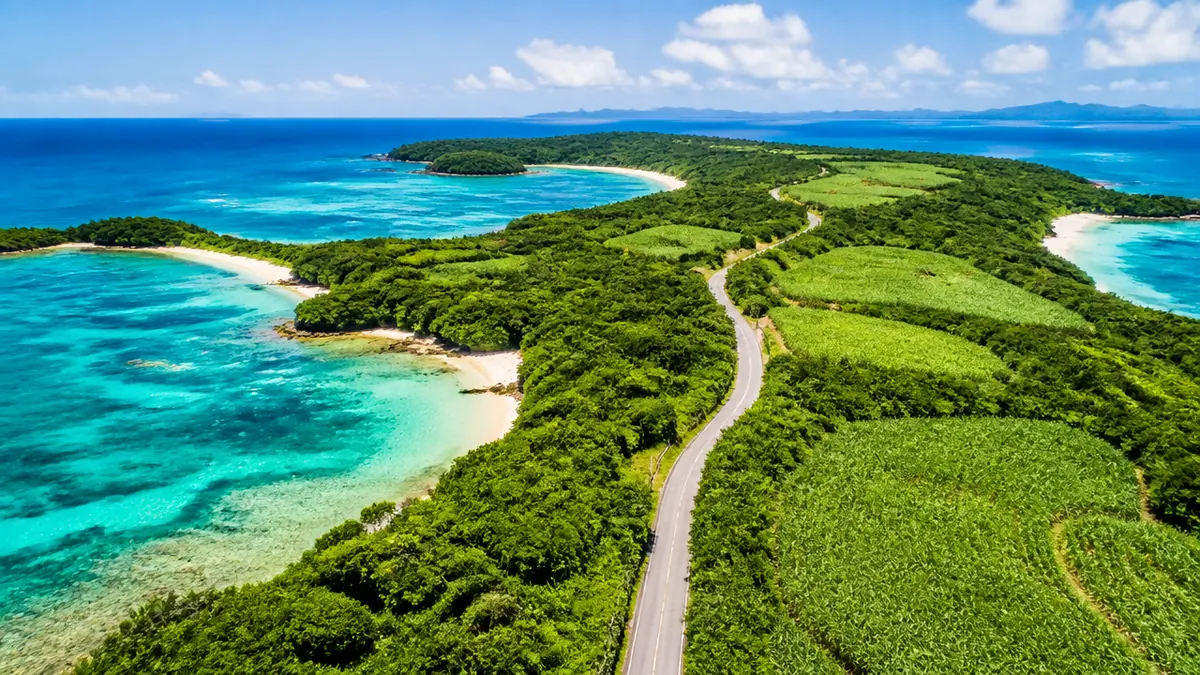 西表島の地図は「県道215号1本」で読むと一気にわかるの解説画像