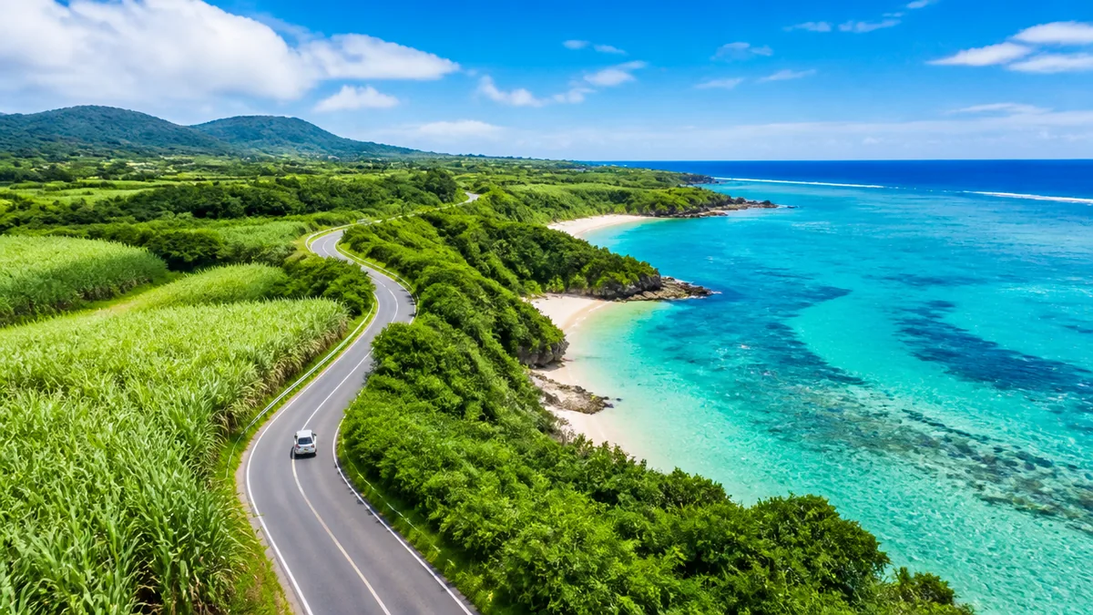 移動の骨格は道路2本|国道390号と県道79号で島は一周できるの解説画像