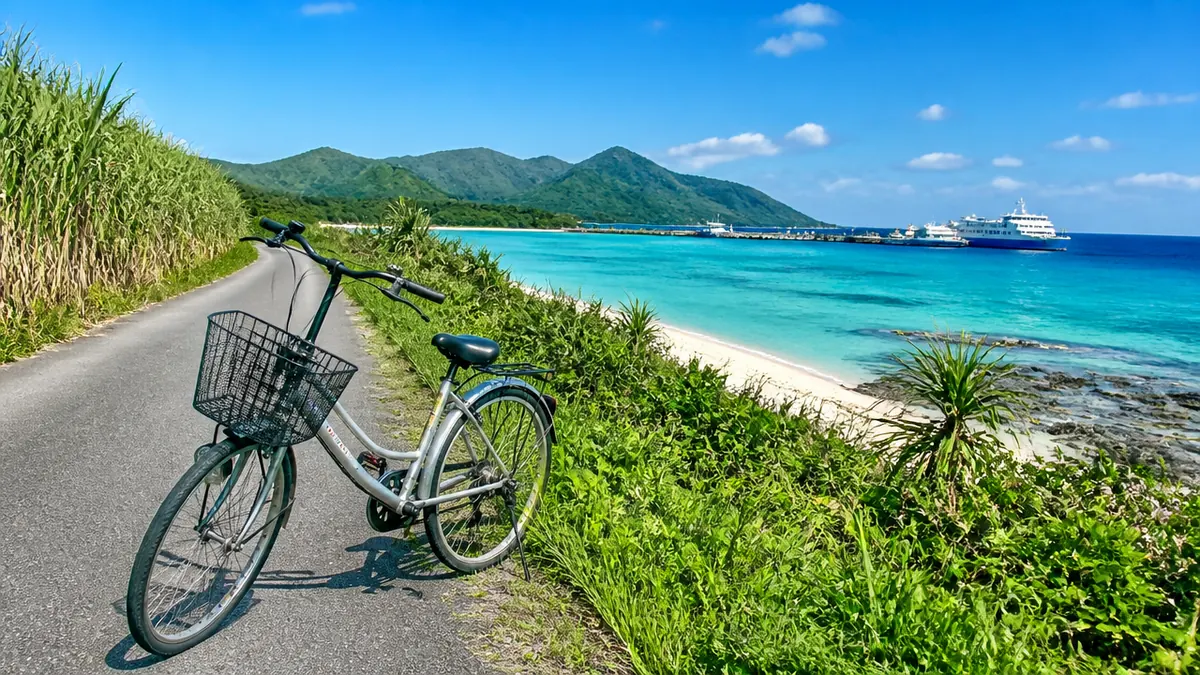 自転車で回れるエリアと回れないエリアの境界線の解説画像