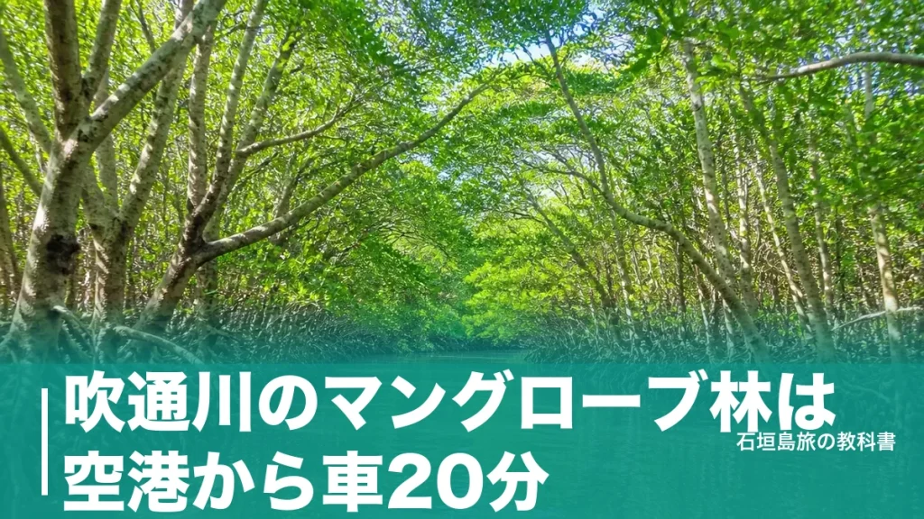 吹通川のマングローブ林は空港から車20分｜トイレのない無料駐車場と干潮を狙う行き方のアイキャッチ画像