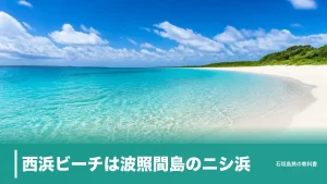 西浜ビーチは波照間島のニシ浜｜港から徒歩約10分・日帰りで浜にいられる時間の組み方のアイキャッチ画像