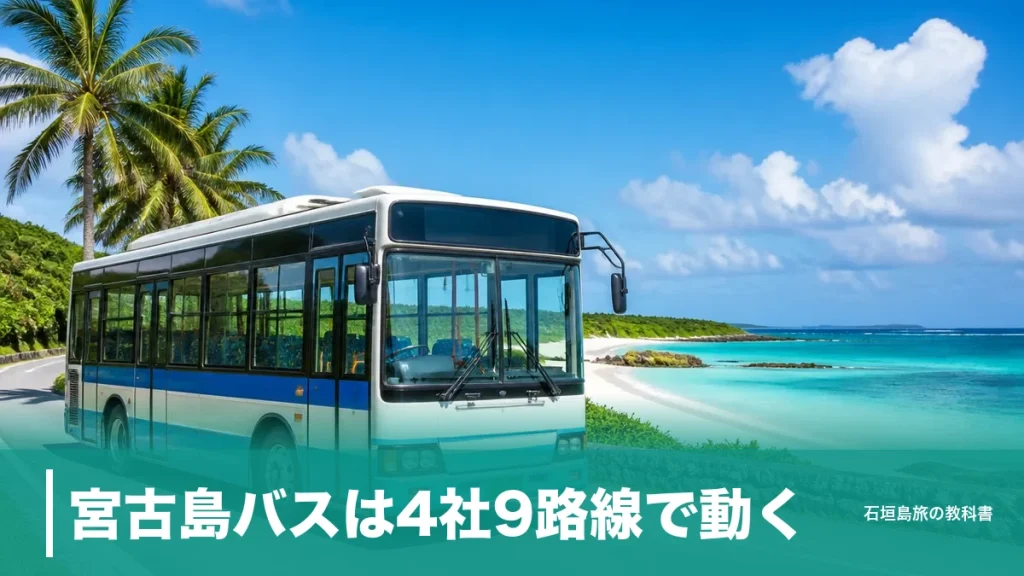 宮古島バスは4社9路線で動く｜下地島空港行き800円と土日運休の落とし穴のアイキャッチ画像