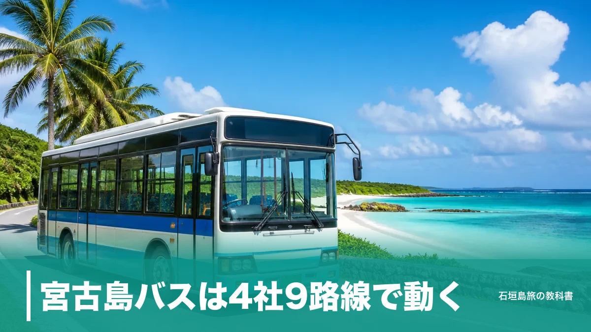 宮古島バスは4社9路線で動く｜下地島空港行き800円と土日運休の落とし穴のアイキャッチ画像
