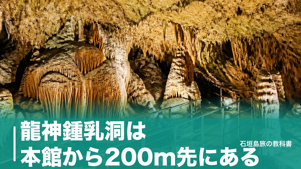 龍神鍾乳洞は本館から200m先にある｜営業時間が媒体で割れる洞窟への行き方と駐車場20台のアイキャッチ画像