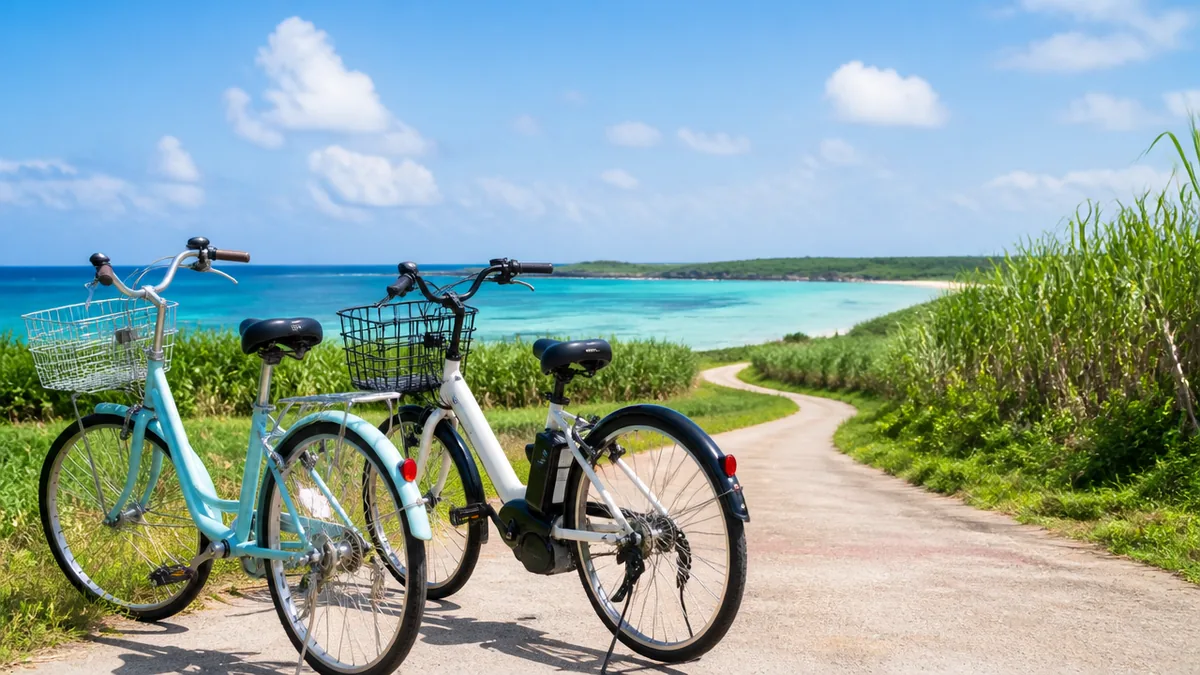 電動アシストと普通の自転車、どちらを選ぶべきかの解説画像