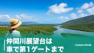 仲間川展望台は車で第1ゲートまで｜遊歩道3.2kmを歩く行き方と大原港フェリーの段取りのアイキャッチ画像