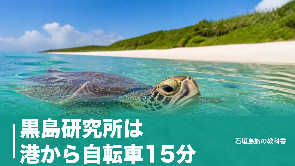 黒島研究所は港から自転車15分｜入館料800円と船1日6便で組む半日プランのアイキャッチ画像