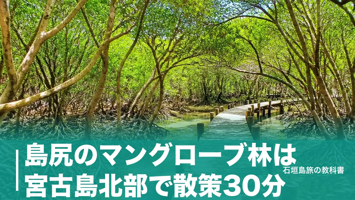 島尻のマングローブ林は宮古島北部で散策30分｜空港から車20分・無料駐車場と干潮の狙い方のアイキャッチ画像