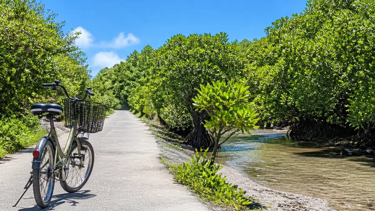 バスや自転車でも行ける?車なしで向かうときの注意点の解説画像